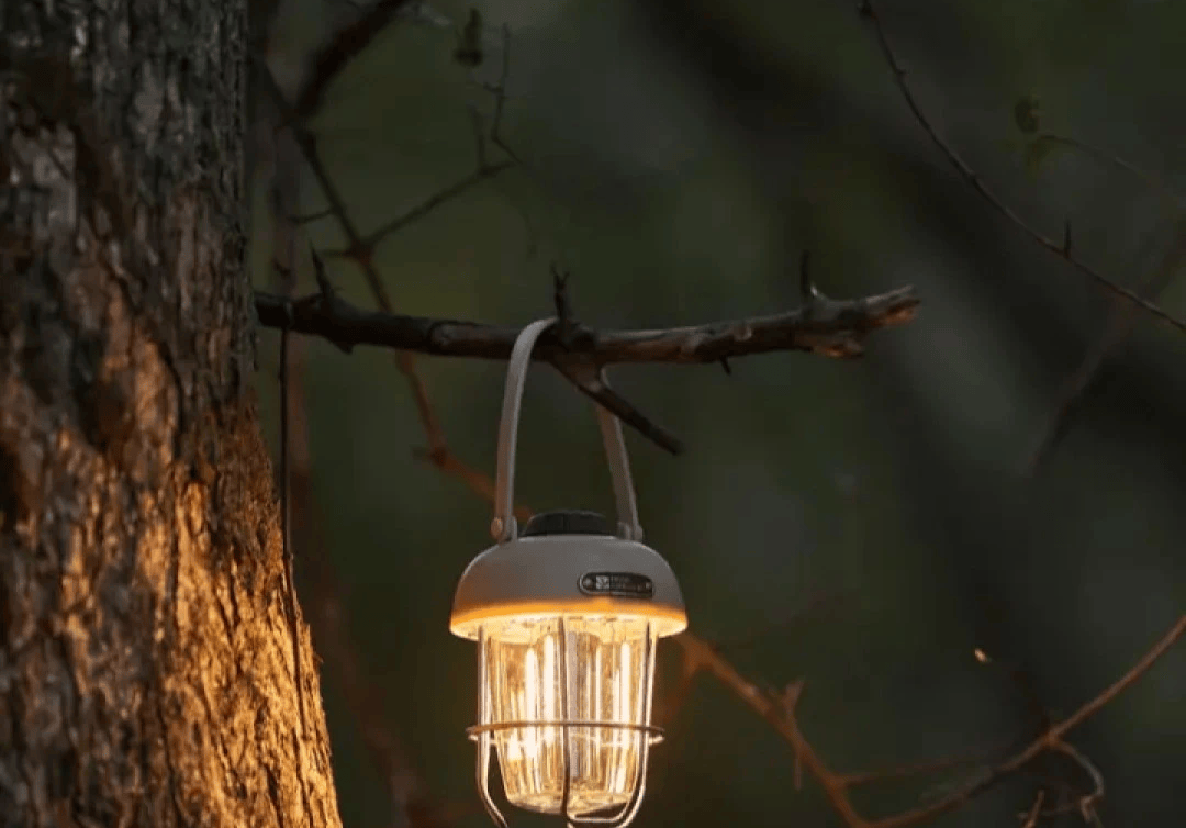 南亚跨境露营灯新加坡设计中心新葡京新加坡商人吕文扬布局东(图2)